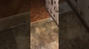 Как вызвать Деда мороза (работает!!!!!!)