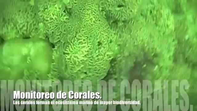 ISLA DE LA PLATA, Parque Nacional Machalilla, Manabí, Ecuador. PUCE MANABÍ - Oscar Cornejo L. смотреть онлайн