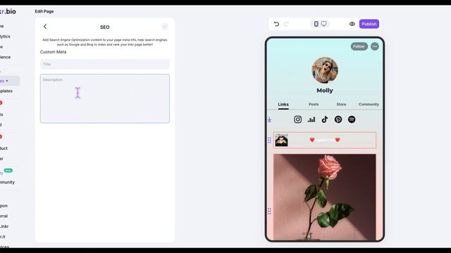 How to Edit SEO Title & Description for Your Link in Bio Page? смотреть онлайн