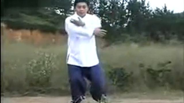 James Fu 85 forms Authentic Yang Style Taijiquan смотреть онлайн