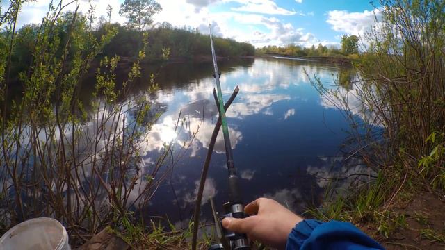 На пляж с ФИДЕРОМ и УДОЧКОЙ. РЫБАЛКА 28.05.2022 смотреть онлайн