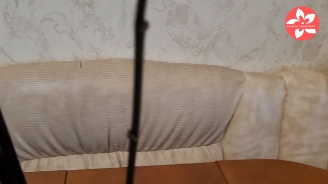 Орхидея из уценки с гнилыми корнями что делать смотреть онлайн