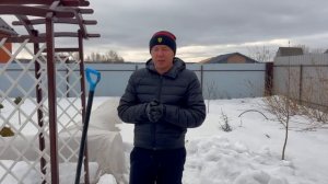 РОЗЫ В МАРТЕ.ЧТО СЕЙЧАС МОЖНО ДЕЛАТЬ С РОЗАМИ, А ЧТО НЕЛЬЗЯ? ЭТО ВАЖНО! НЕ УПУСТИТЕ ВРЕМЯ!