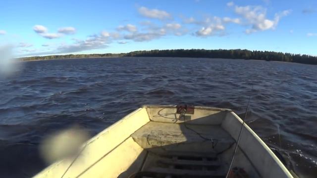Ловля щуки на спиннинг во время осеннего шторма. Pike fishing in autumn. смотреть онлайн