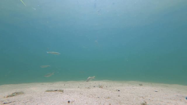 тверские карьеры, гоу про 9 смотреть онлайн