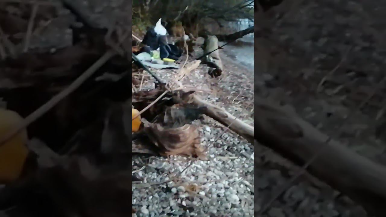 Хорошо у костра на берегу Волги. смотреть онлайн