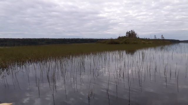 Карелия.Петрозаводск.Лососинное. смотреть онлайн