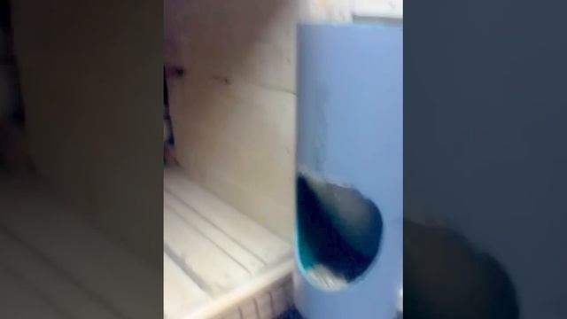 кормушка для кроликов от" Bena" смотреть онлайн