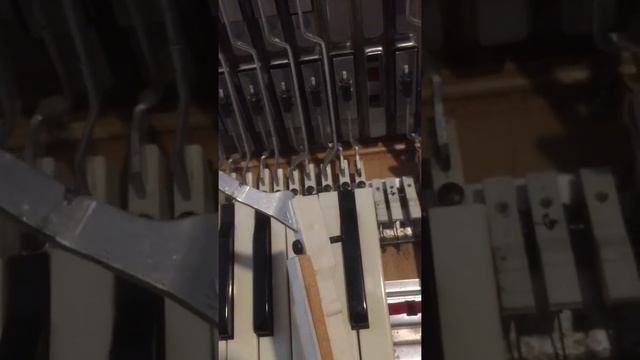 Montafana Royal Standard stuck key fix смотреть онлайн