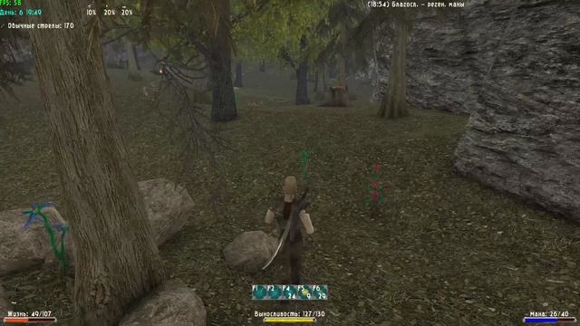 Готика 2 В 2.0 АБ КС \ СнК № 3 смотреть онлайн