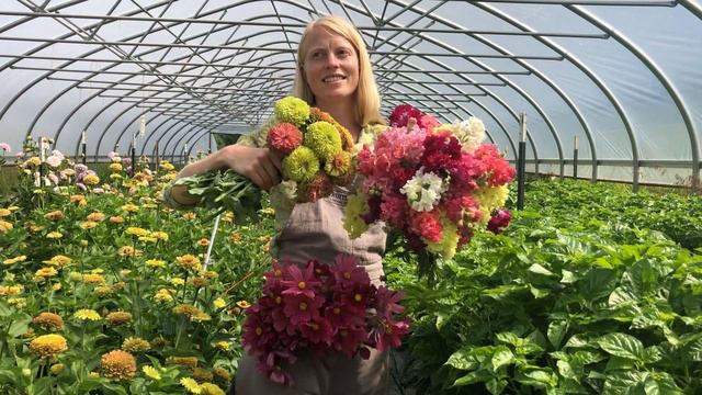 Queen Lime with Blush Zinnia (& Other Friends in the High Tunnel) смотреть онлайн