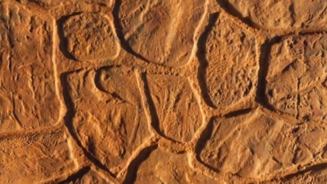 Форма для тротуарной плитки «Бердь» смотреть онлайн