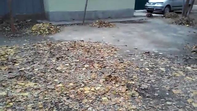 Как работают дворники смотреть онлайн