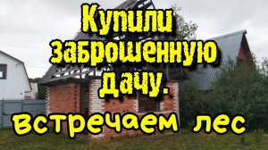 Купили заброшенную дачу.