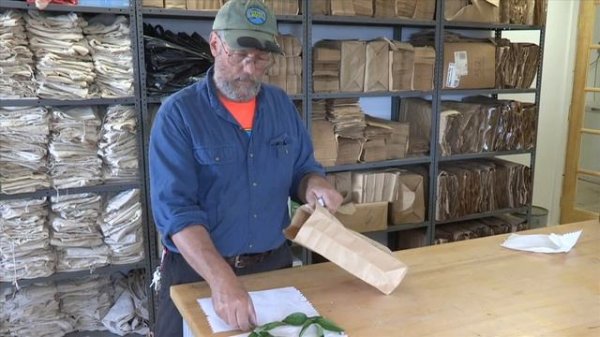 Peony tissue and soil sampling with Bob Van Veldhuizen