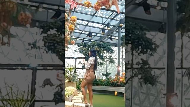 FINDING THE LOST FAIRY AT THE FLOWER FANTASY @MARINA GARDEN BY THE BAY смотреть онлайн