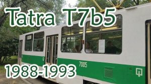 Эволюция трамваев Москвы. От первых электрических трамваев до современных Витязей