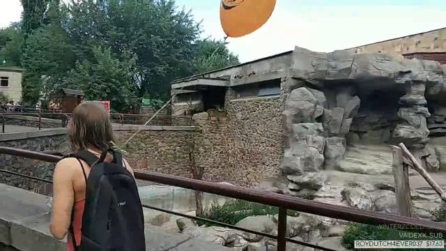 Зоопарк в Киеве. смотреть онлайн
