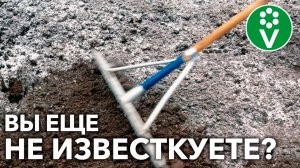 ИЗВЕСТКОВАНИЕ ПОЧВЫ – СРЕДСТВО ПОВЫШЕНИЯ УРОЖАЯ В РАЗЫ! Но как?