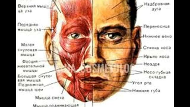 Квантовое омоложение лица смотреть онлайн