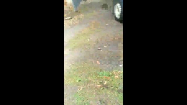 Бюджетные ремонтные хаки