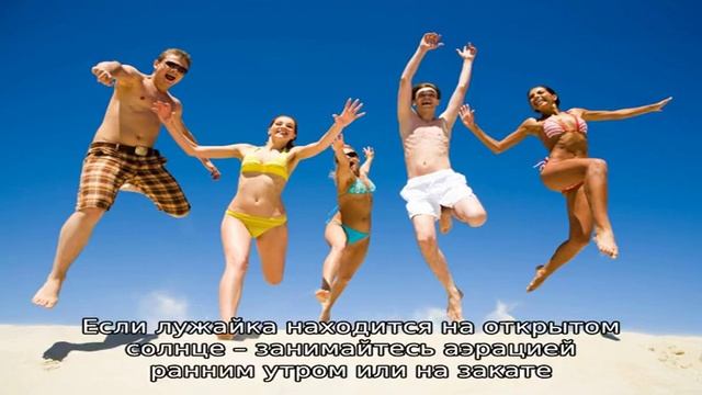 Посоветуйте цветы для газонов, которые цветут все лето смотреть онлайн