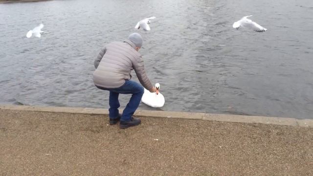 Лондон. Гайд парк. смотреть онлайн