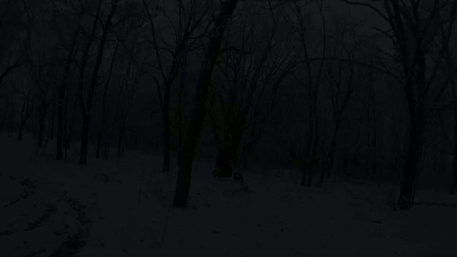 Баловство на питбайке Kayo 140 смотреть онлайн