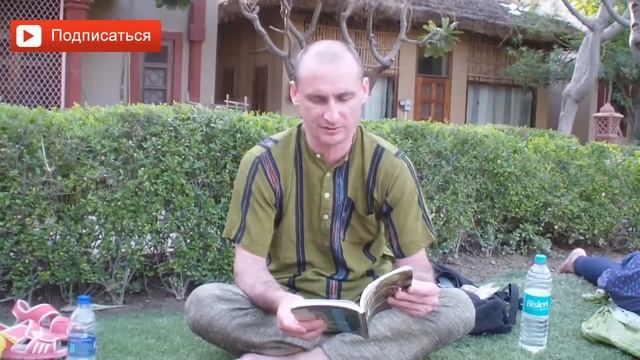Как использовать кардамон в кулинарии? Что можно приготовить с кардамоном? Аннада смотреть онлайн