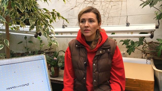 Как выбрать ФИТОЛАМПУ ? Обзор на лампу МАРС ГИДРО ЛЕД смотреть онлайн