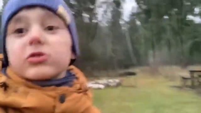 Прогулка по мини-зоопарку Country Resort смотреть онлайн