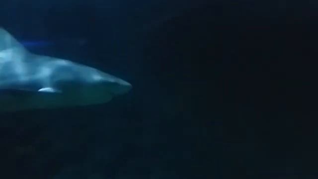 Как замедлять время смотреть онлайн