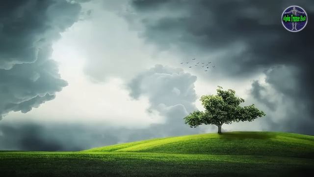 АНГЕЛЫ-ИСПОЛНИТЕЛИ ОТ ВЫСШИХ СИЛ | БЛАГОДАРНОСТЬ | БУДУЩЕЕ СОСЕДНИХ СТРАН | СУДЬБА ПРЕДАТЕЛЕЙ смотреть онлайн