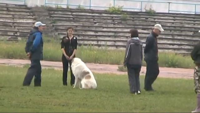 Алтай Горловка ВН смотреть онлайн