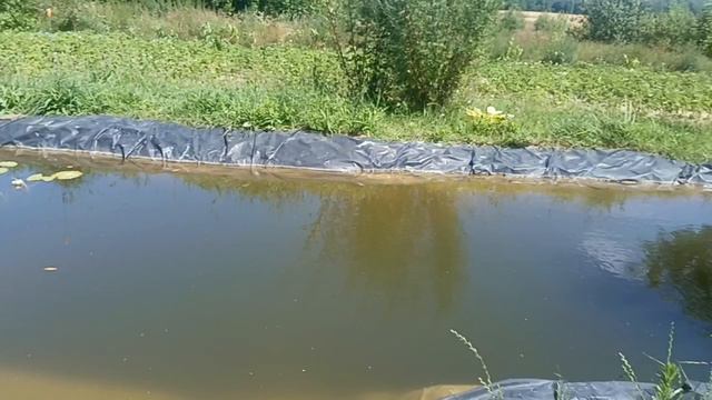 Адская прошивка Citroën Berlingo смотреть онлайн