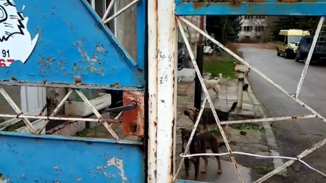 ZaPernik.com: Военното поделение в квартал "Изток" смотреть онлайн