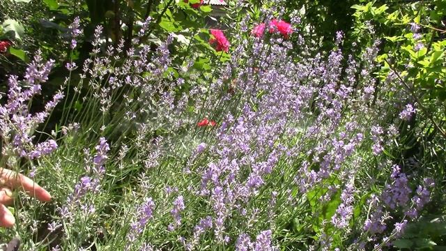 Секреты здоровья и красоты для мам