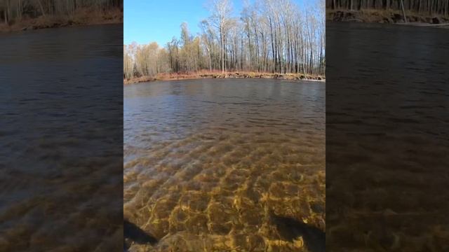 Tugur river, Landing 49.2kg 164cm taimen on fly ??Река Тугур, таймень 164см 49.2кг нахлыст смотреть онлайн