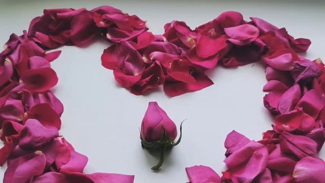 Сердечко из лепестков роз(2) смотреть онлайн