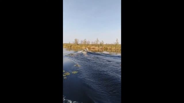По болотам и озерам.На ПВХ и болотоходе с гибким валом смотреть онлайн