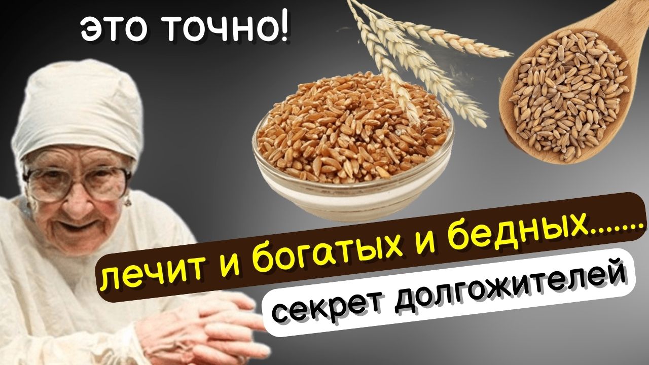 Старый Врач: ешьте ПОЛБУ каждый день и избавитесь от следующих болезней..... Польза и вред полбы смотреть онлайн