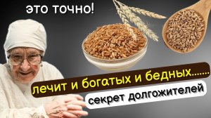 Старый Врач: ешьте ПОЛБУ каждый день и избавитесь от следующих болезней..... Польза и вред полбы