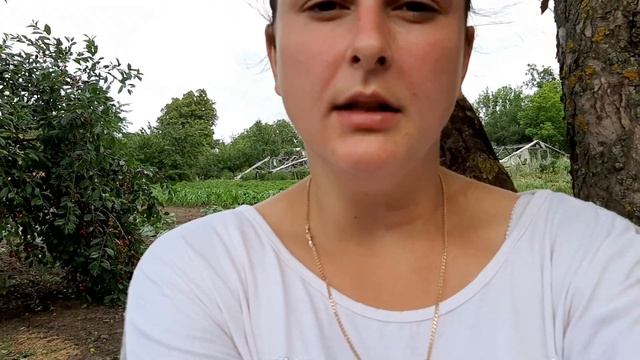 В бегах// как отличить индюка от индюшки? смотреть онлайн
