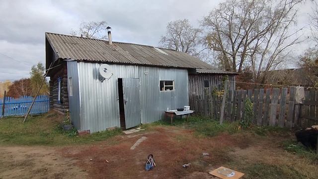 Тренировка рук, царской двухпудовой гирей поднимаю на бицуху. смотреть онлайн