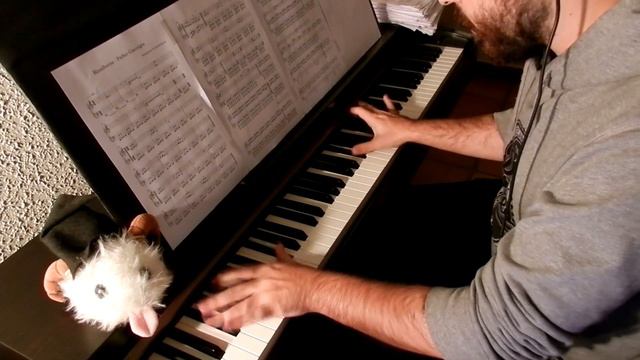 Bloodborne - Father Gascoigne (Piano Cover) смотреть онлайн
