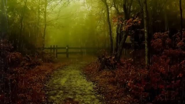 MEDITATION MUSIC RELAXING MUSIC   RAIN AND FLUTES SOUNDS