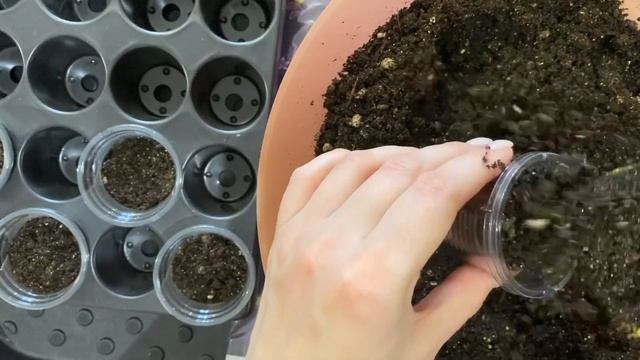 Буду сажать только в них.Лучшие горшочки для рассады! смотреть онлайн