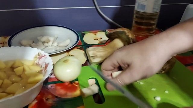 Беженцы с Мариуполя готовят суп с белых грибов смотреть онлайн