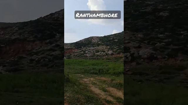 beautiful view of ranthambore national park #ranthambore #shorts смотреть онлайн