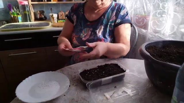 Посев многолетние цветы простел,кермек и многое другое 😊 смотреть онлайн